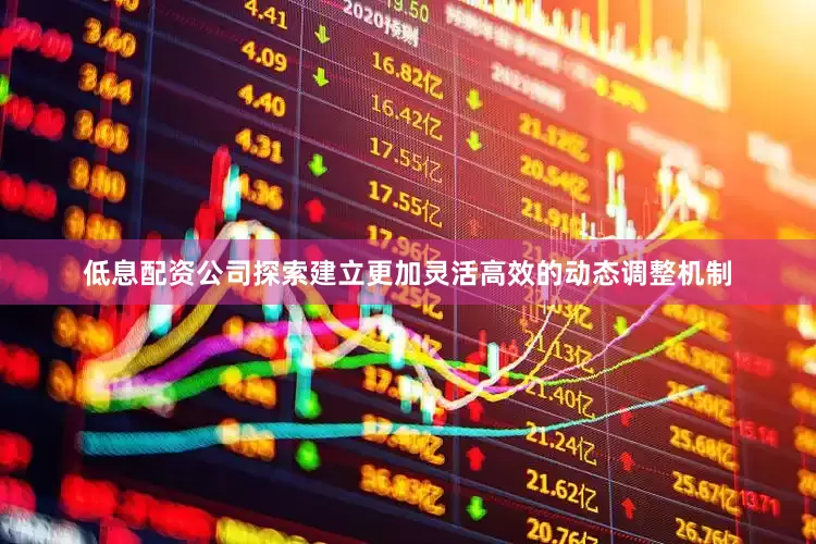 低息配资公司探索建立更加灵活高效的动态调整机制
